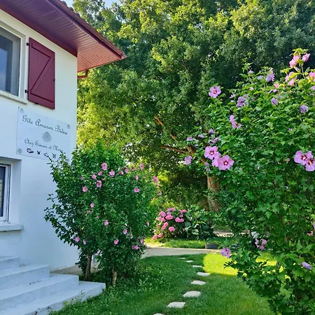 Amaren Bidea A Aroue, Chez Simone Et Manu, Parfaitement Sur Le Gr65 Hostel