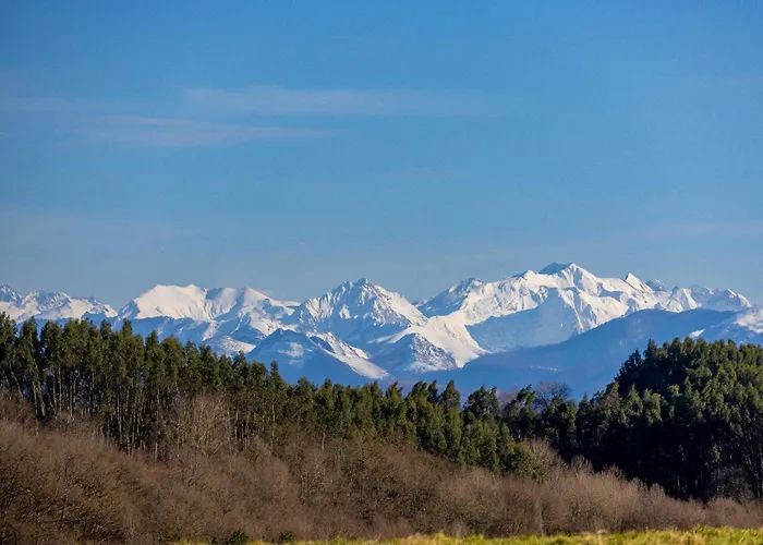 Hostal Gîte Amaren Bidea à Aroue, chez Simone et Manu *