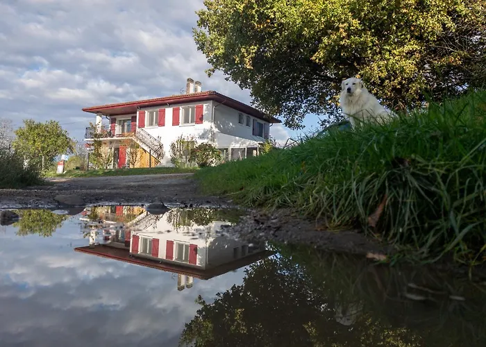 Amaren Bidea A Aroue, Chez Simone Et Manu, Parfaitement Sur Le Gr65 Hostel *